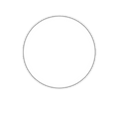 White Dot image 0