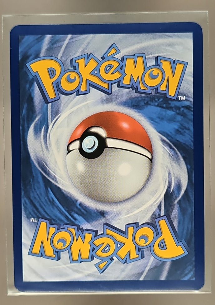 2023-25 Pokemon SV Black Star Promos Eevee #173 2025