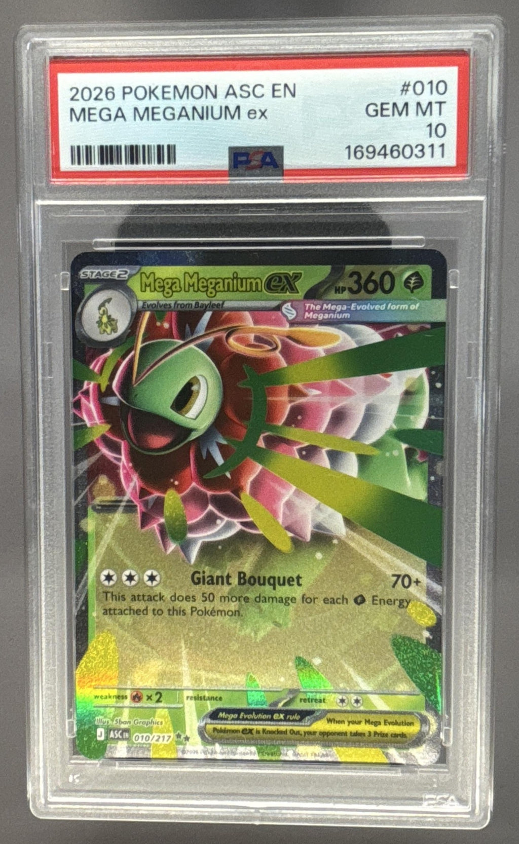 Mega Meganium ex front image