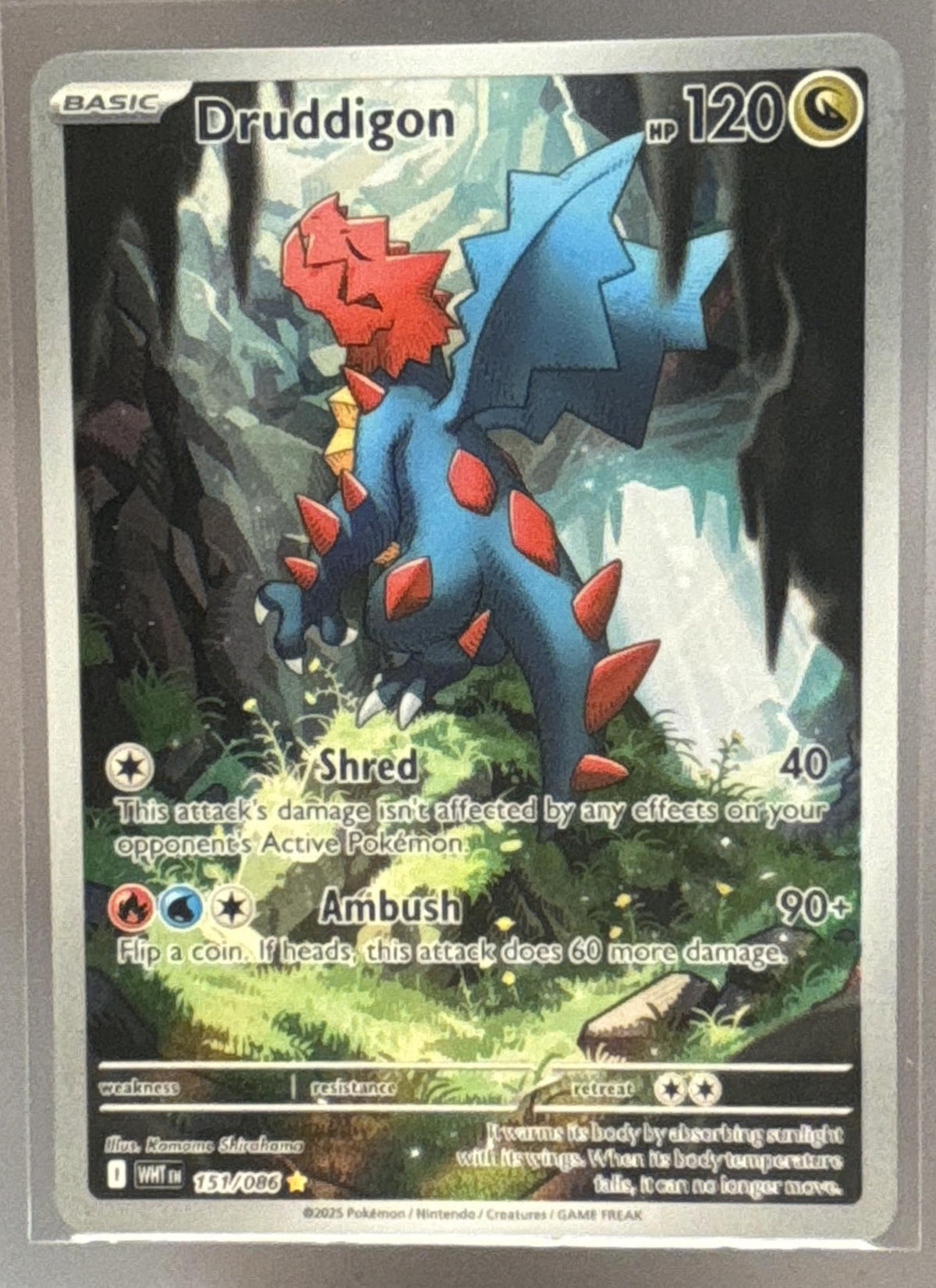 Druddigon front image