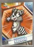 Respectful Racoon front image