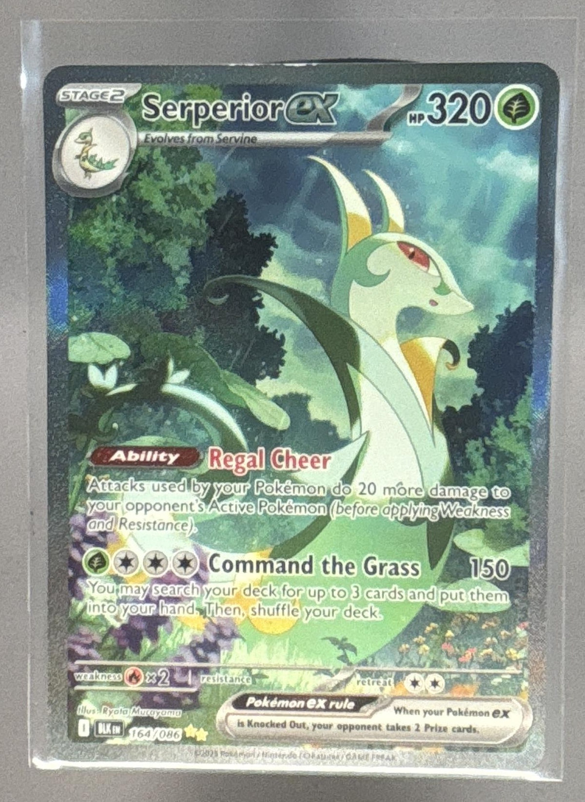 Serperior ex front image