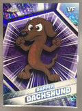 Dapper Dachshund front image