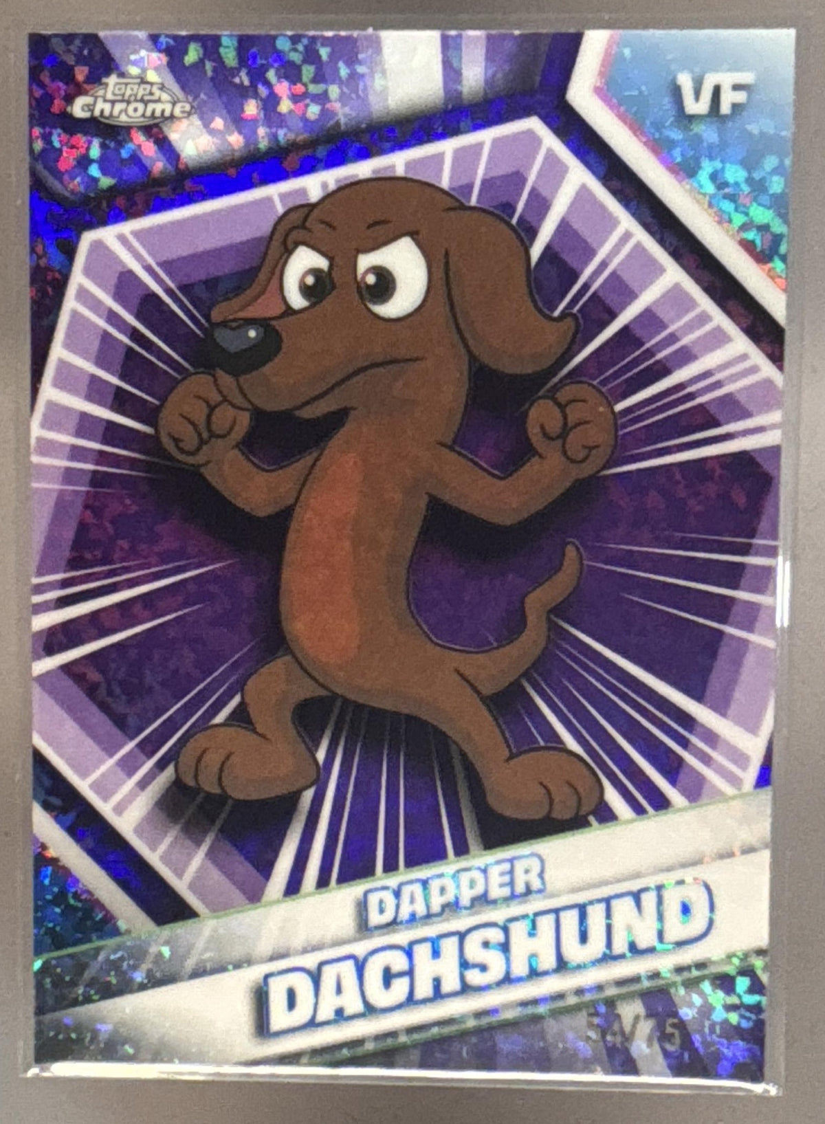 Dapper Dachshund front image