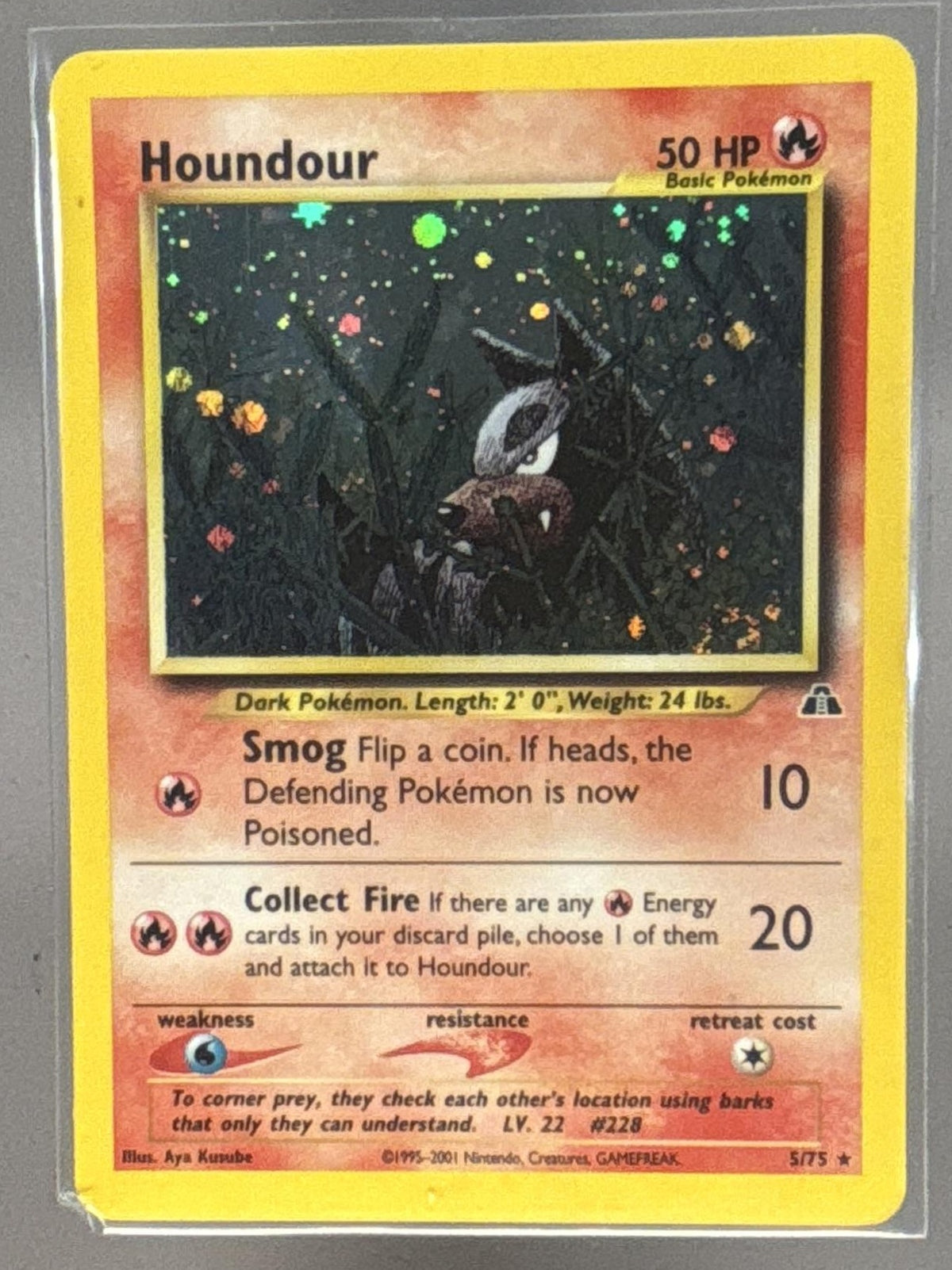 Houndour front image