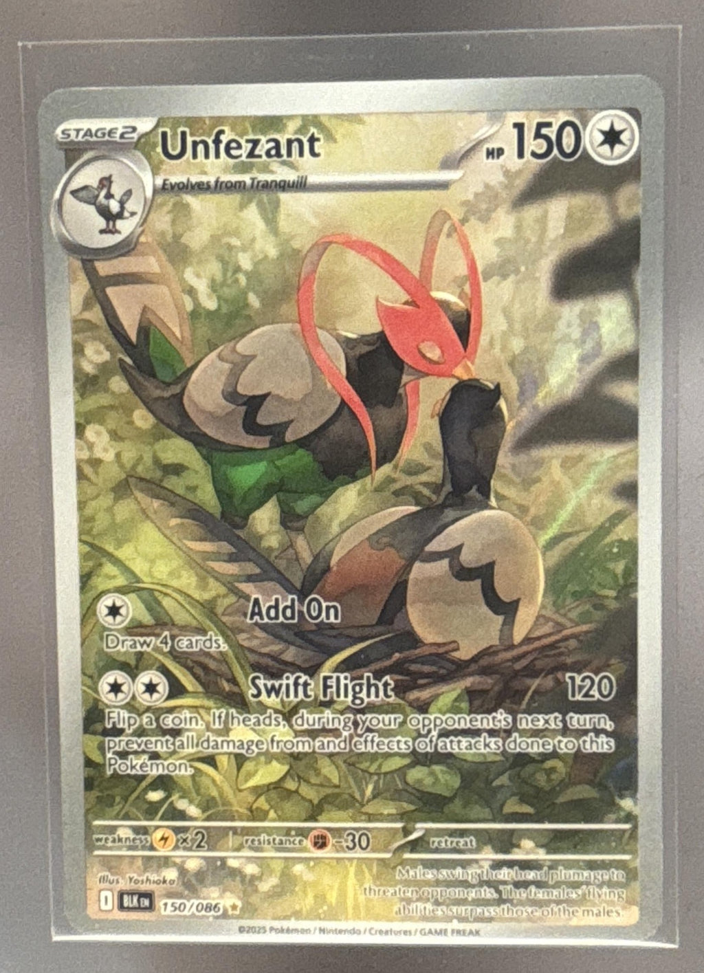 Unfezant front image