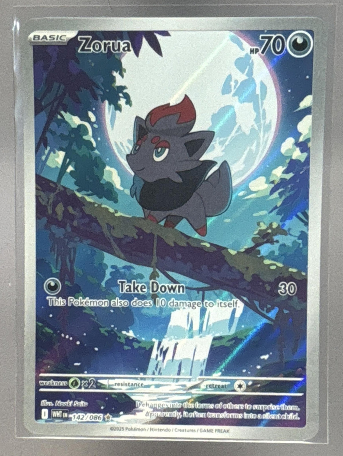 Zorua front image