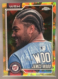 James Wood front image