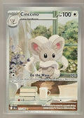 Cinccino front image
