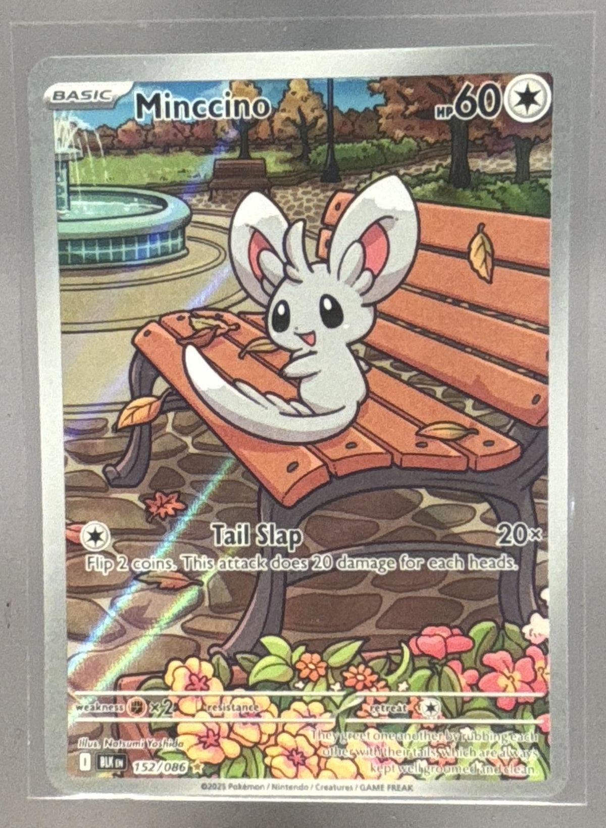 Minccino front image