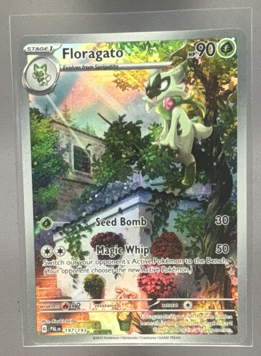 Floragato front image