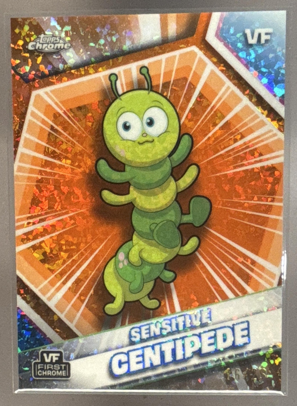 Sensitive Centipede front image