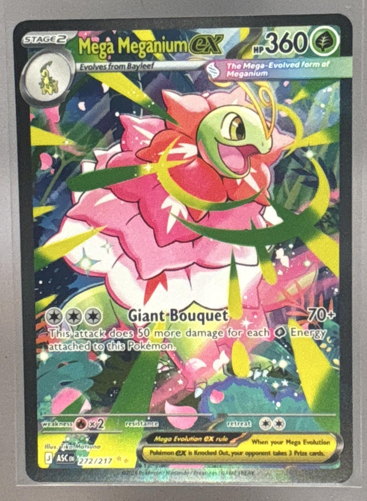 Mega Meganium ex front image