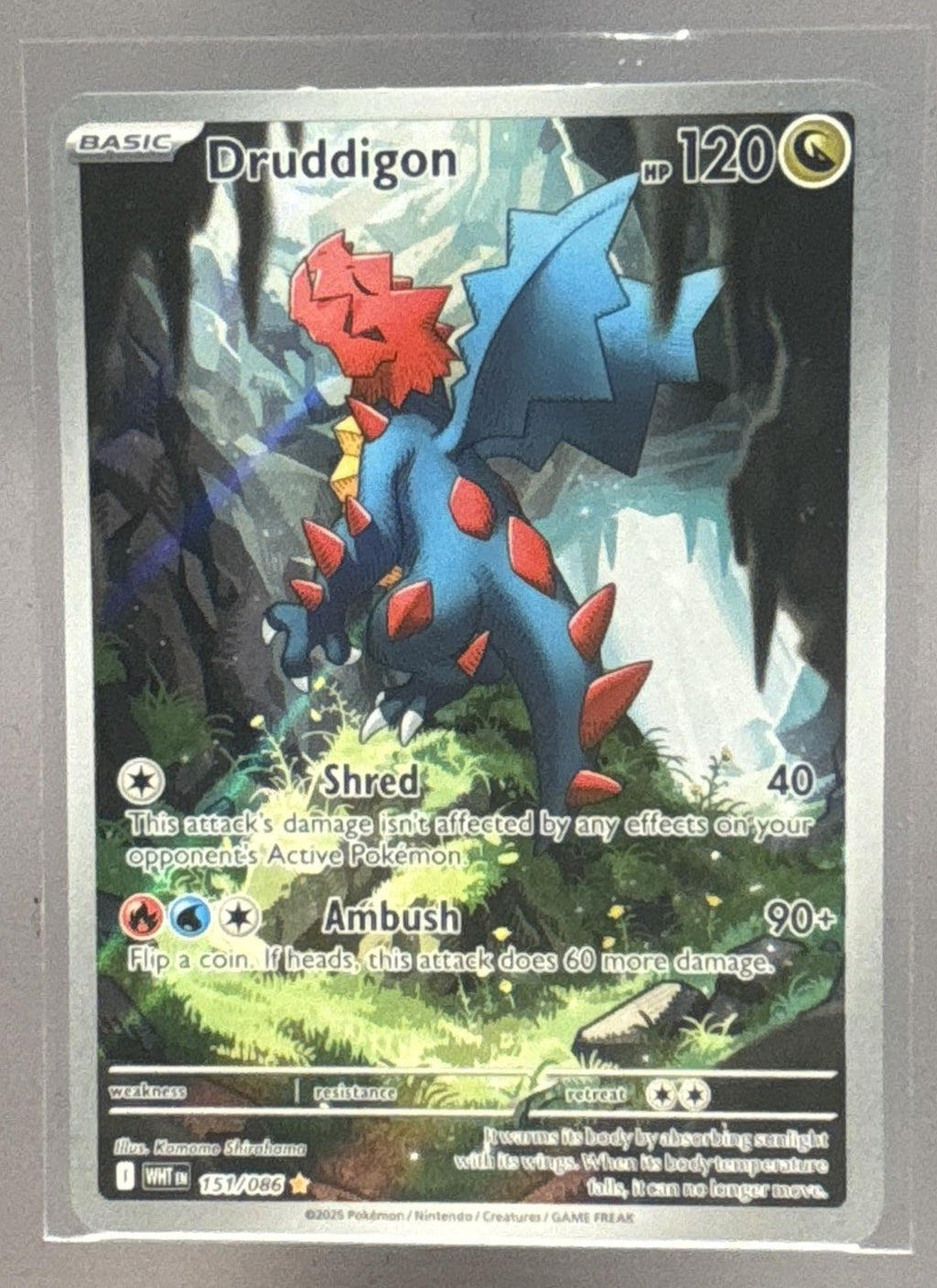 Druddigon front image