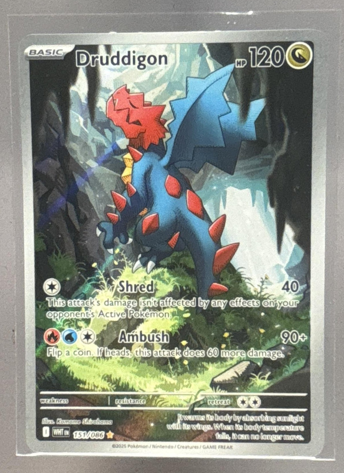 Druddigon front image