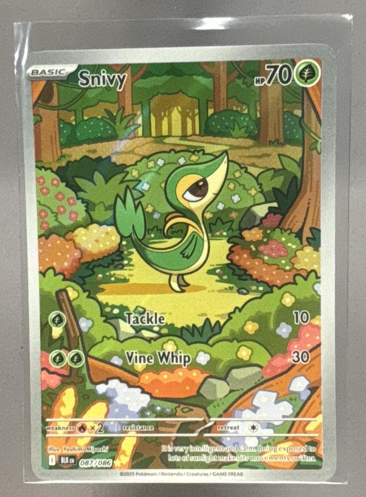 Snivy front image
