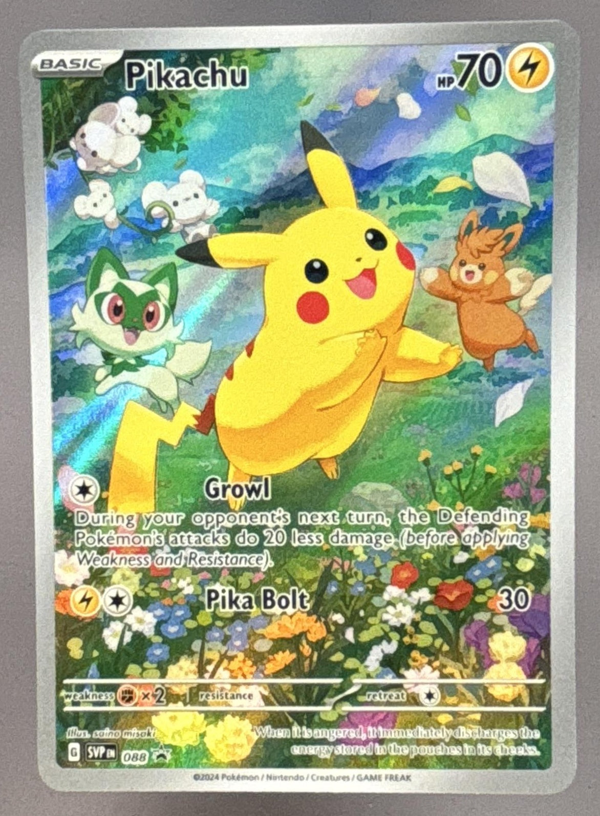 Pikachu front image