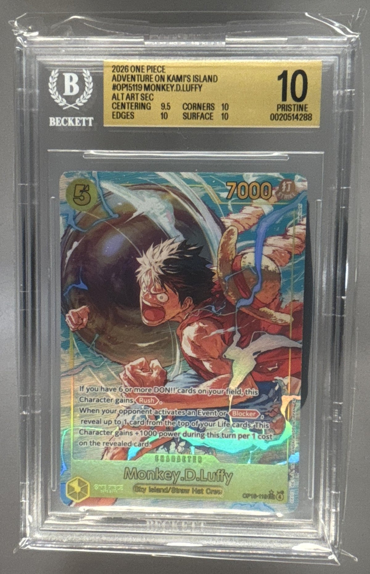 Monkey D. Luffy front image
