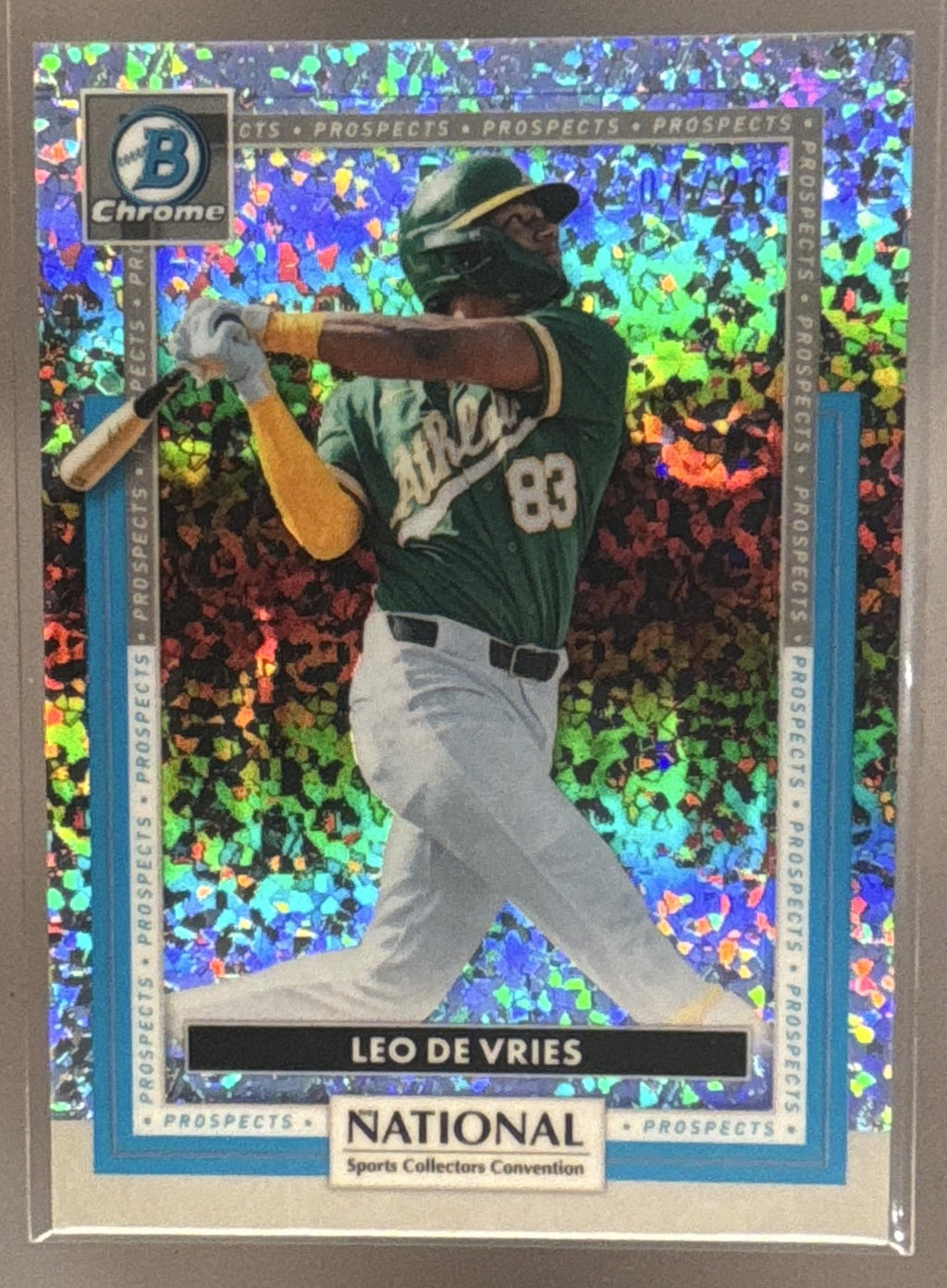 Leo De Vries front image