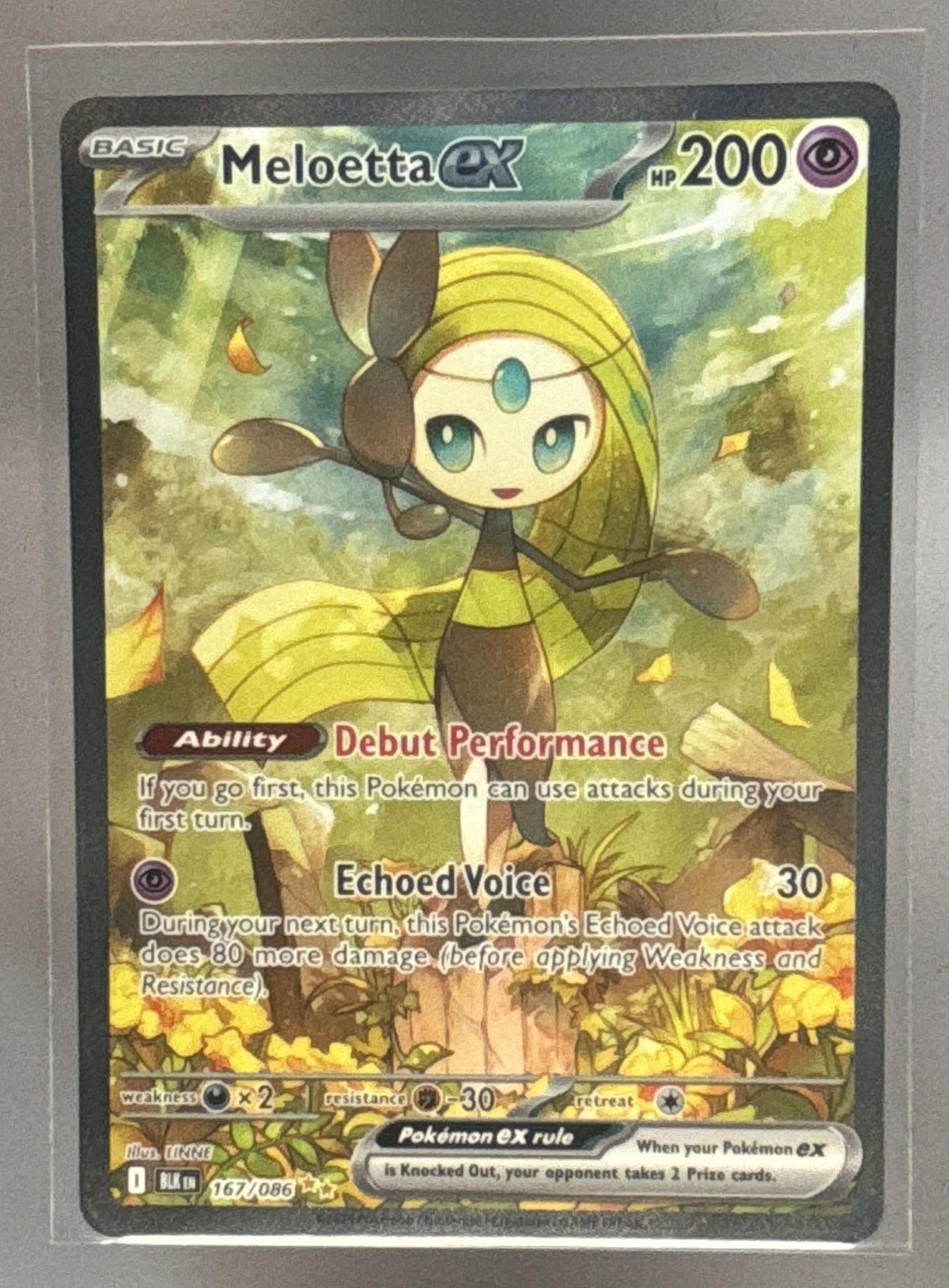 Meloetta ex front image