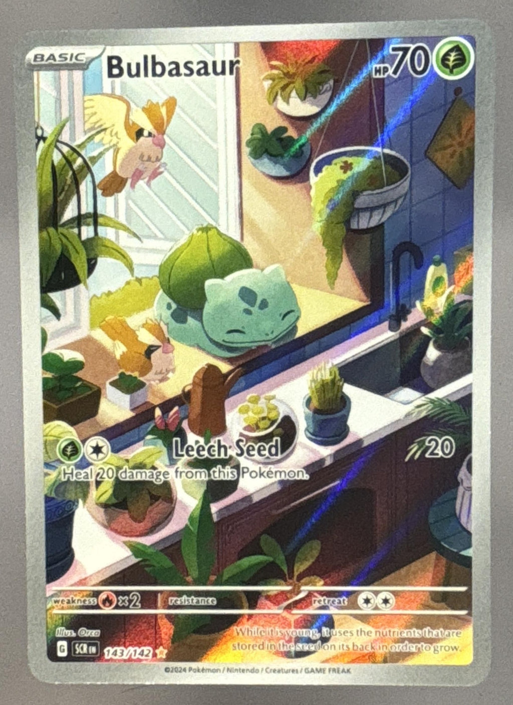 Bulbasaur front image