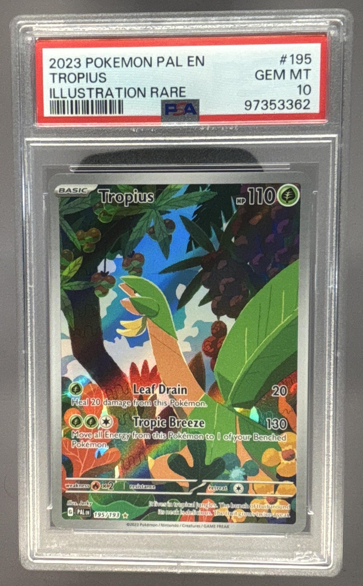 Tropius front image